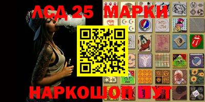гидра Заволжье