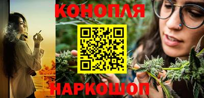 гидра Заволжье