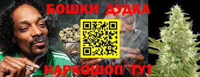 гидра Заволжье